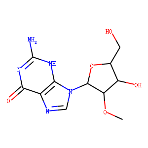 2'-O-Methyl Guanosine