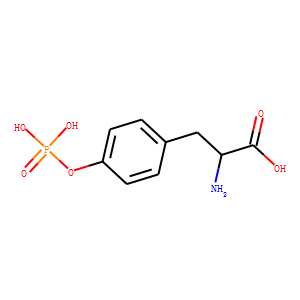 O-Phospho-L-tyrosine