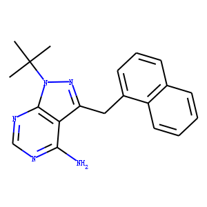 1-NM-PP1