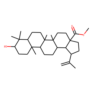 Methyl betulinate