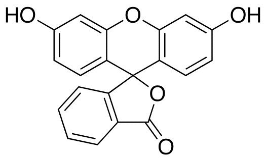 Fluorescein