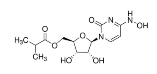 Molnupiravir