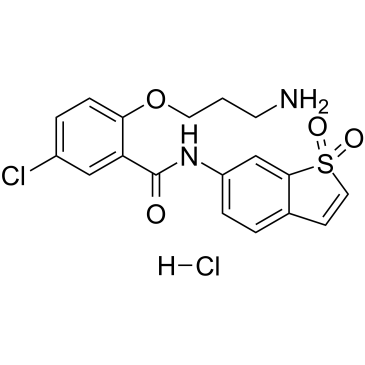 HJC0416 hydrochloride