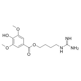 Leonurine