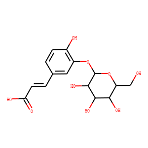 Caffeic Acid 3-β-D-Glucoside