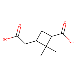 Pinic Acid (Diastereomeric Mixture)