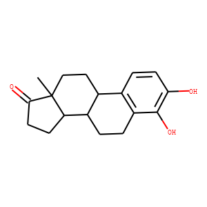 4-Hydroxy Estrone