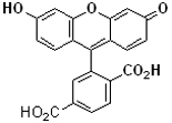 6-Carboxyfluorescein
