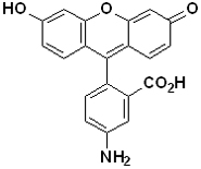 Fluoresceinamine, Isomer 1