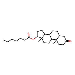 Androstanolone heptanoate