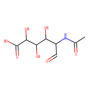 2-Acetamido-2-deoxy-D-glucuronic Acid
