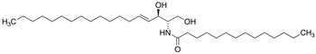 C14 Ceramide