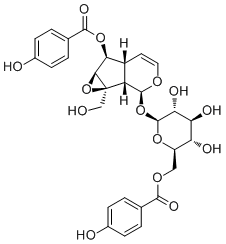 6/'-O-p-Hydroxybenzoylcatalposide