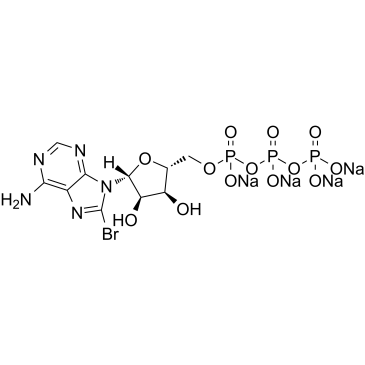 8-Bromoadenosine 5'-triphosphate tetrasodium