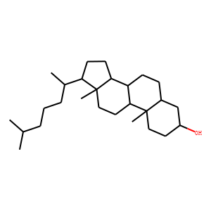 Coprostanol