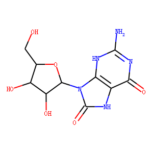 8-Hydroxy Guanosine