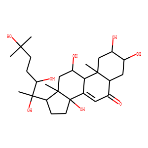 TURKESTERONE