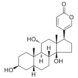 Gamabufotalin