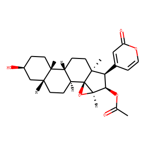 Cinobufagin