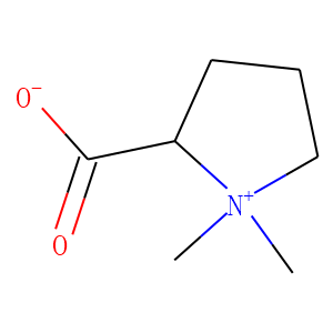 Stachydrine