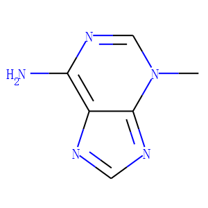 3-Methyladenine