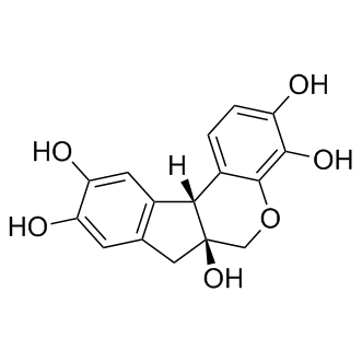 Hematoxylin