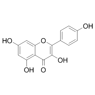 Kaempferol