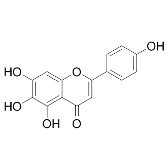 Scutellarein