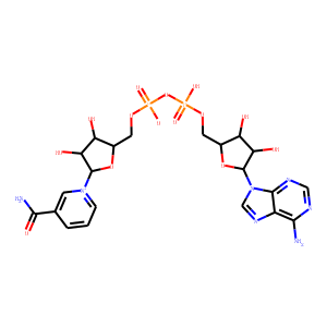 NAD+