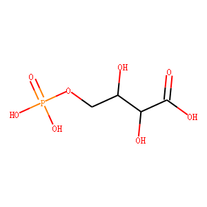 4-Phospho D-Erythronate