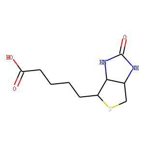 Biotin (Vitamin B7)