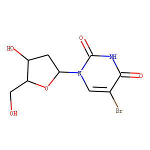 5-BrdU