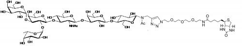 6GrB1-NAc-spacer3-Biotin