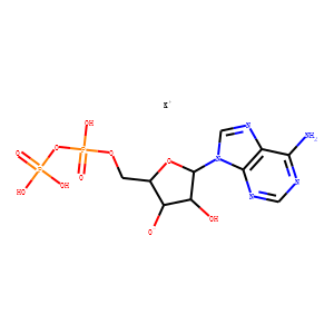 Adenosine 5'-diphosphate (potassium salt)