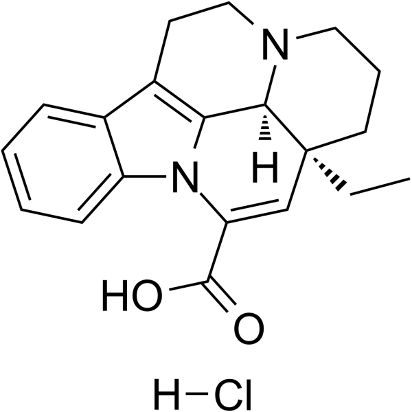 Apovincaminic Acid Hydrochloride Salt