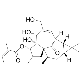 Ingenol Mebutate