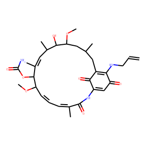 17-AAG