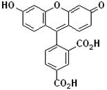 5-Carboxyfluorescein