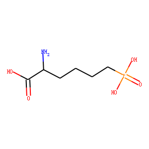 L-AP6