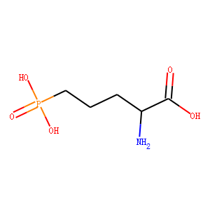 D-2-Amino-5-phosphonopentanoic Acid