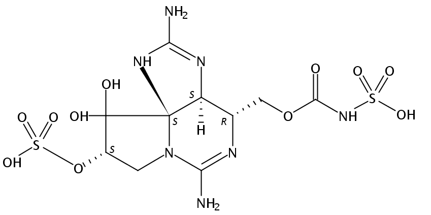 N-Sulfocarbamoylgonyautoxin-3
