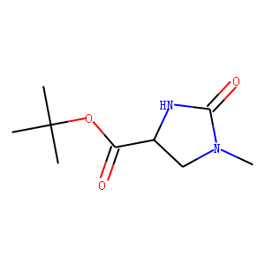 (4S)-1-Methyl-2-oxo-4-imidazolidinecarboxylic Acid, tert-Butyl Ester