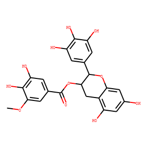 Epigallocatechin 3-O-(3-O-methyl)gallate