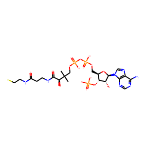 Coenzyme A