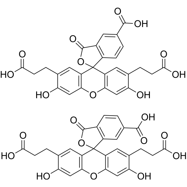 BCECF