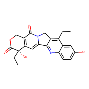 SN-38