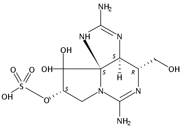 Decarbamoylgonyautoxin-3