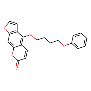 PAP-1