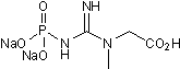 Phosphocreatine disodium salt