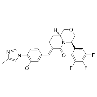 gamma-Secretase Modulators